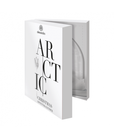 Calendario Adviento ARCTIC Alessandro